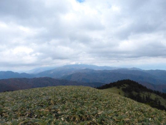 富士見台
